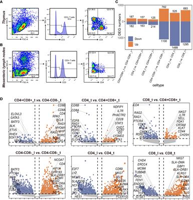 Comparative transcriptome analysis of T lymphocyte subpopulations and identification of critical regulators defining porcine thymocyte identity